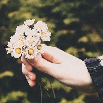 金年汇app官方网