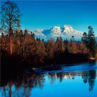 加拿大pc入口下载手机版