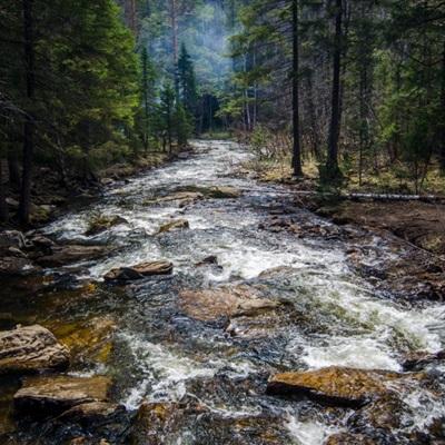 开元app下载手机版