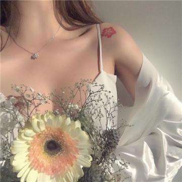 半导体育官方app